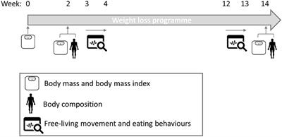 Free-Living Energy Balance Behaviors Are Associated With Greater Weight Loss During a Weight Loss Program